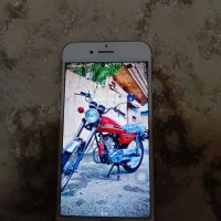 ایفون سون گلد