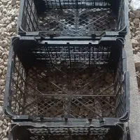 فروش جعبه گوجه و....