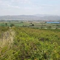 زمین-کشاورزی