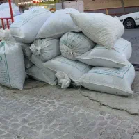 مویز خوبو