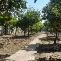 فروش-ویلا-باغ1000-متری