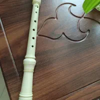 فلوت و ستار