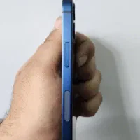 iphone 12 mini|موبایل|اصفهان, باغ گلها|دیوار