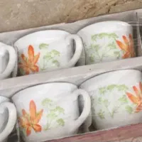 فنجان اورجینال اصل