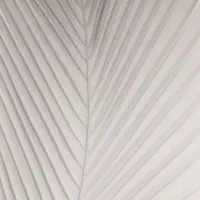 گچکاری آقای باانصاف