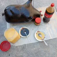 روغن حیوانی(ریون دان )