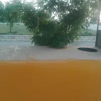 فروش گاری فلافل نو|کافی‌شاپ و رستوران|بندر گناوه, |دیوار