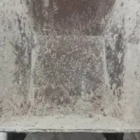 فرغون کارکرده سالم