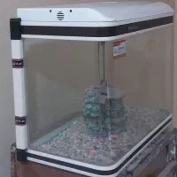 آکواریوم شیشه خم