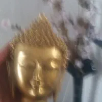 سلام وقت تون بخیر یک عدد مجسمه زیبا