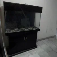 آکواریوم ۱متری