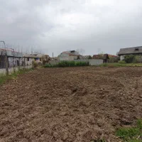 معاوضه یا فروش زمین مسکونی لنگرود با کرج|فروش زمین و ملک کلنگی|کرج, گلشهر|دیوار