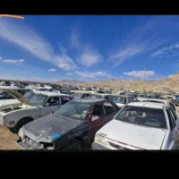 پیکان فرسوده همه مدل‌اردی پیکان وانت