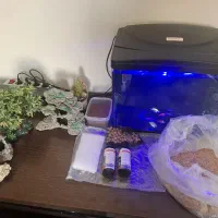 آکواریوم شیشه خم شرکتی با ماهی و وسایل