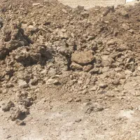 کود گاوی خالص|خدمات باغبانی و درختکاری|تربت‌حیدریه, پائین ولایت|دیوار