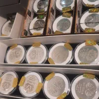 سکه کلکسیونی ۹۹۹ عیار نقره ‌آنتیک سرمایه گذاری