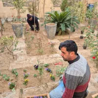 کلیه کار باغبانی هرس کاری تعویض خاک گلدان