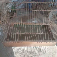 قفس پرنده|لوازم جانبی حیوانات|ری, فیروزآبادی|دیوار