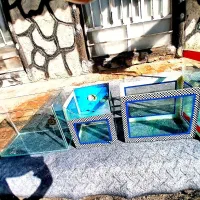 آکواریوم|ماهی|بناب, |دیوار