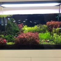 اکواریوم پلنت APA حرفه ای ۹۰ ۴۵ ۴۵