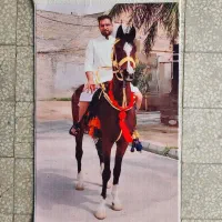 هدیه جذاب و متفاوت برای روز زن،شب یلدا وغیره