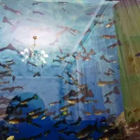 کوپی نژاددعالی