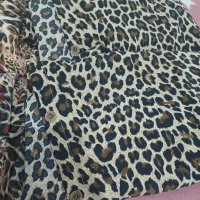 شومیزپلنگی