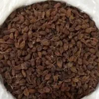کشمش دودی