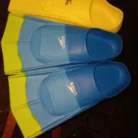 فین شنا