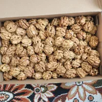 مغز گردو درجه۱|خوردنی و آشامیدنی|خوی, |دیوار