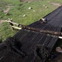 تخته سیاه چادر(دوار)