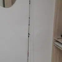 لنسر ماهیگیری