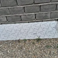 سالم وتمیز