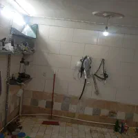 اجاره مغازه ۱۸ متری در بلوار تیموری  تهران|اجارهٔ مغازه و غرفه|تهران, دانشگاه شریف|دیوار