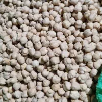 ۲۰۰کیلو نخود بهاره تمیز وب شرط پزا بودن