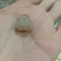 سنگ زینتی|جواهرات|رشت, پورسینا|دیوار