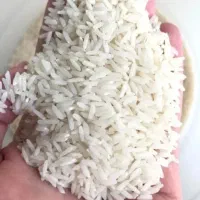 برنج ایرانی هاشمی