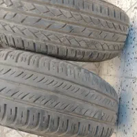 لاستیک سمندی