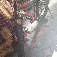دوچرخه ۲۶ ویوا تایوان اصل