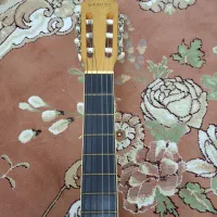 گیتار Gemini|گیتار، بیس، امپلیفایر|گرگان, |دیوار