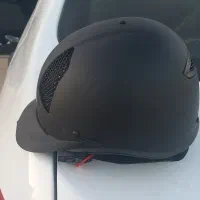 شخصی|اسب و تجهیزات اسبسواری|شیراز, آزادی|دیوار