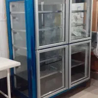 یخچال مرغ درحد