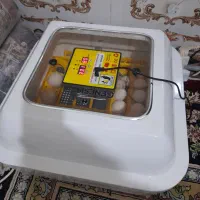 دستگاه جوجه کشی ایزی جیک