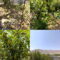 باغ هزارمتری واقع درآشترجان