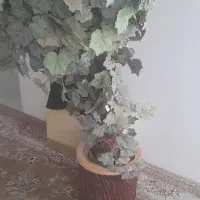 گلدان خارجی