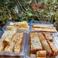 عسل طبیعی وحشی سیا تلو طبیعی نمدال با شعن