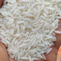 طارم هاشمی درجه یک