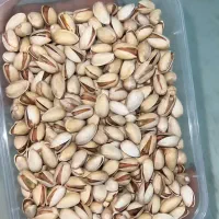 فروش پسته در انواع مختلف|خدمات باغبانی و درختکاری|مه ولات, |دیوار