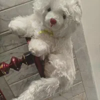 عروسک خرس خوشگل تقریبا بزرگ