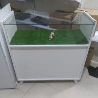 میز و ویترین دخل مغازه